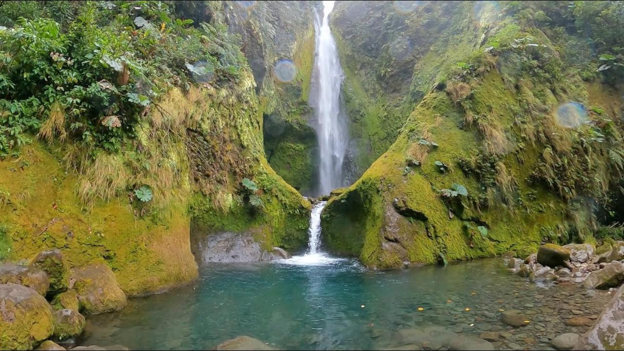 Selvatica Del Toro Leilighet Bajos del Toro Eksteriør bilde