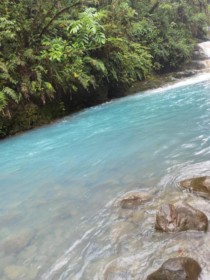 Selvatica Del Toro Leilighet Bajos del Toro Eksteriør bilde